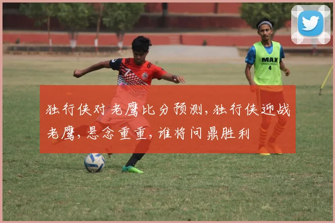 独行侠对老鹰比分预测,独行侠迎战老鹰,悬念重重,谁将问鼎胜利