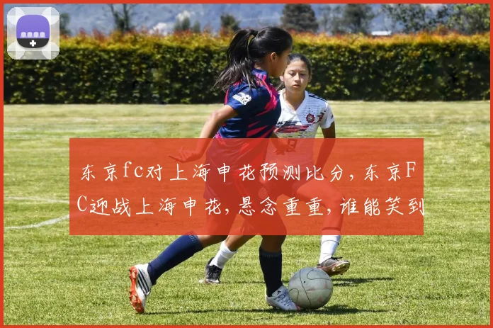 东京fc对上海申花预测比分,东京FC迎战上海申花,悬念重重,谁能笑到最后