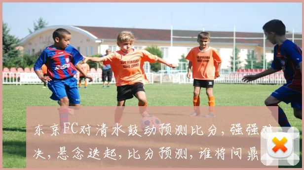 东京FC对清水鼓动预测比分,强强对决,悬念迭起,比分预测,谁将问鼎
