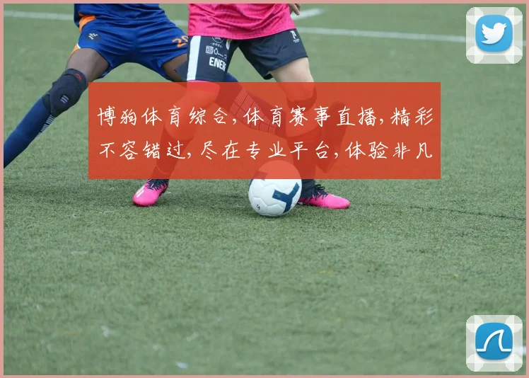 博狗体育综合,体育赛事直播,精彩不容错过,尽在专业平台,体验非凡